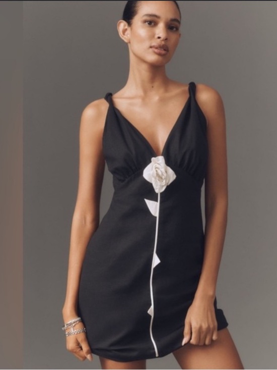 Dresses & Skirts - Farm Rio Rose Pipping Mini Dress NWT